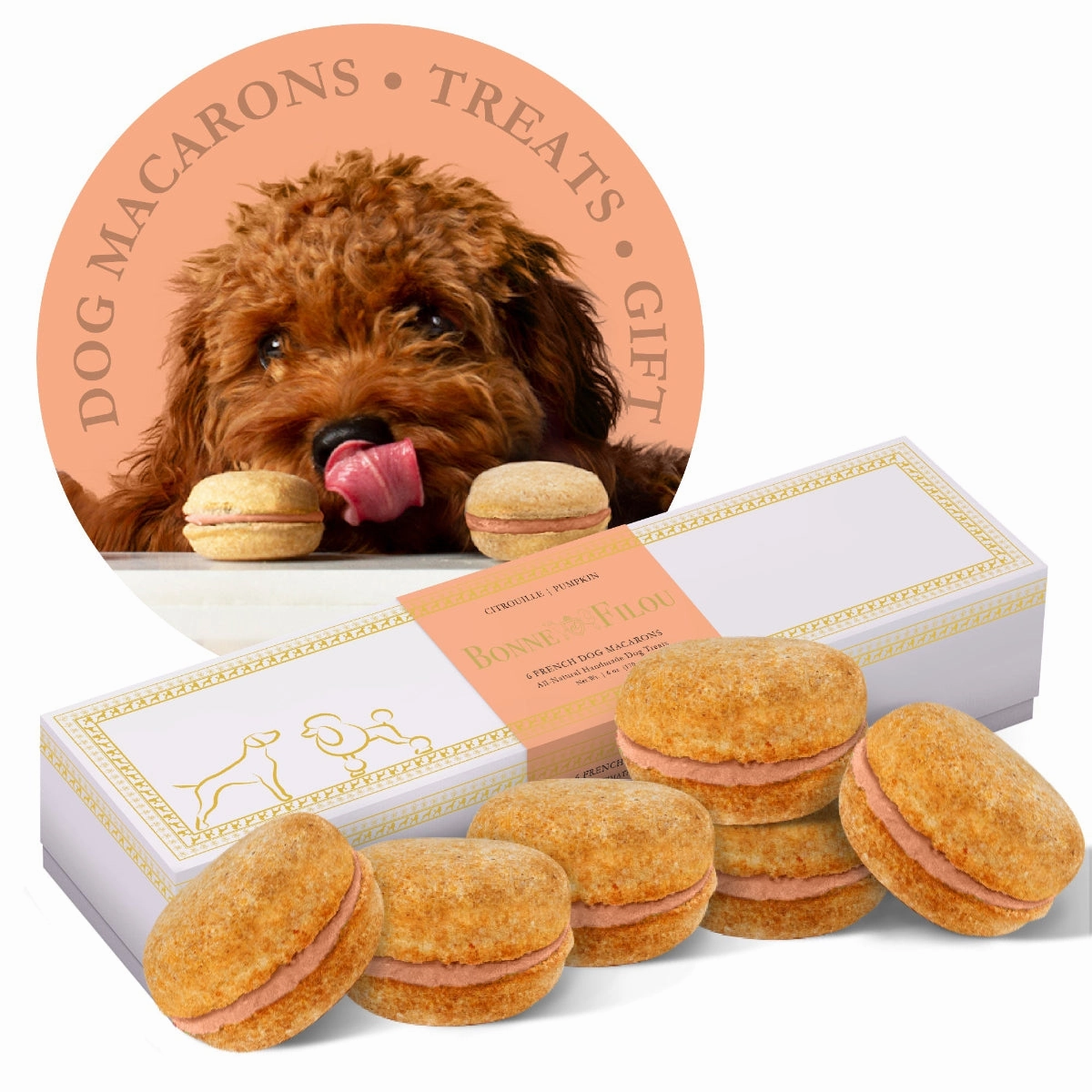 Handmade Macarons Boxed Dog Treats