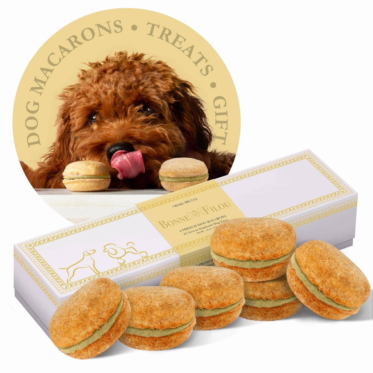 Handmade Macarons Boxed Dog Treats