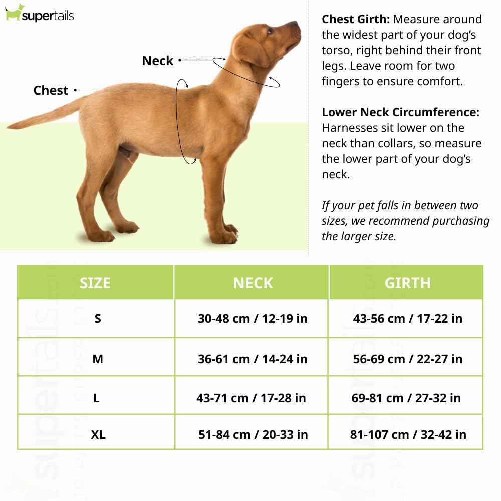 Hank 3M Reflective Harness for Puller Dogs (Grey/Neon Green)