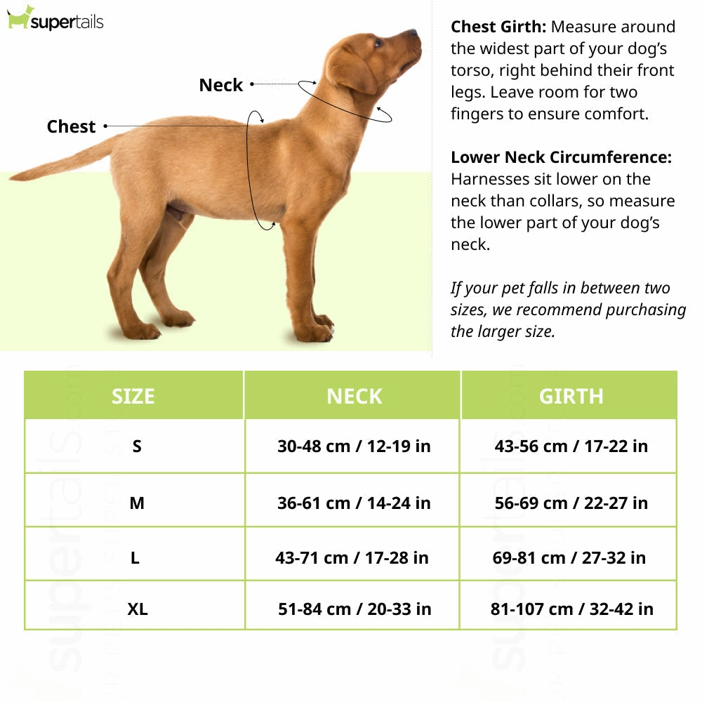 Hank 3M Reflective Harness for Puller Dogs (Grey/Orange)