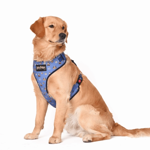 Harry Potter Welcome To Hogwarts Harness for Dogs