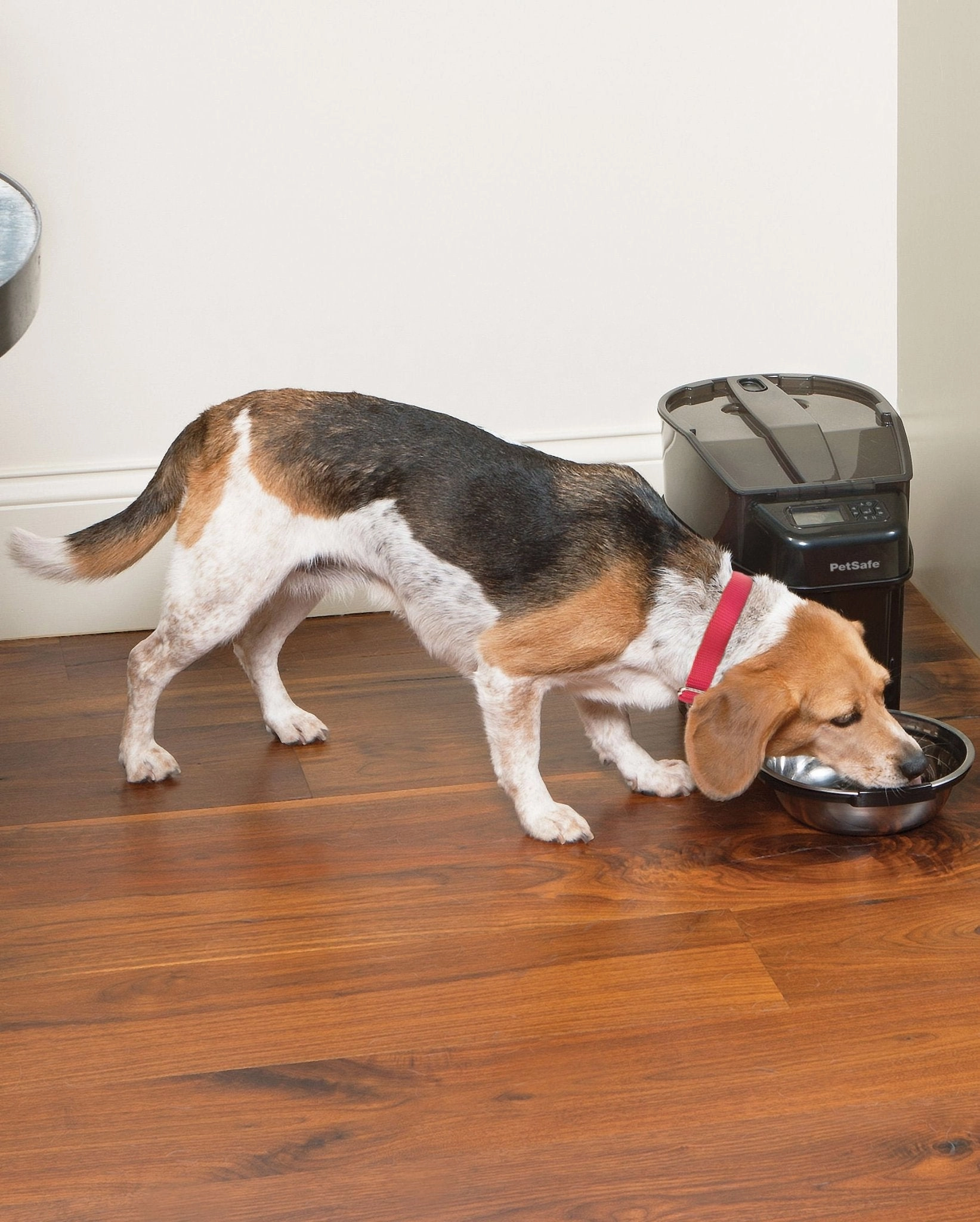 Healthy Pet Simply Feed Automatic Pet Feeder