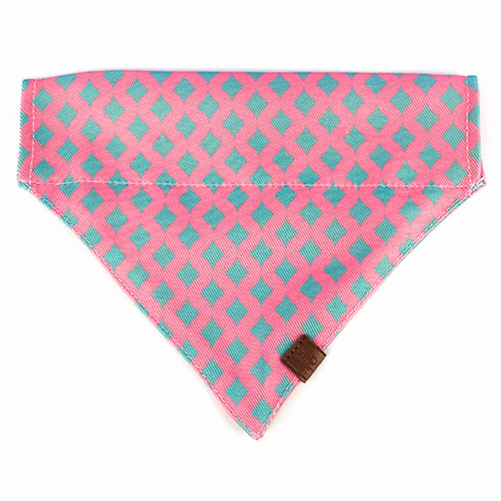 Hidream Profusion Dog & Cat Bandana (Bobby)