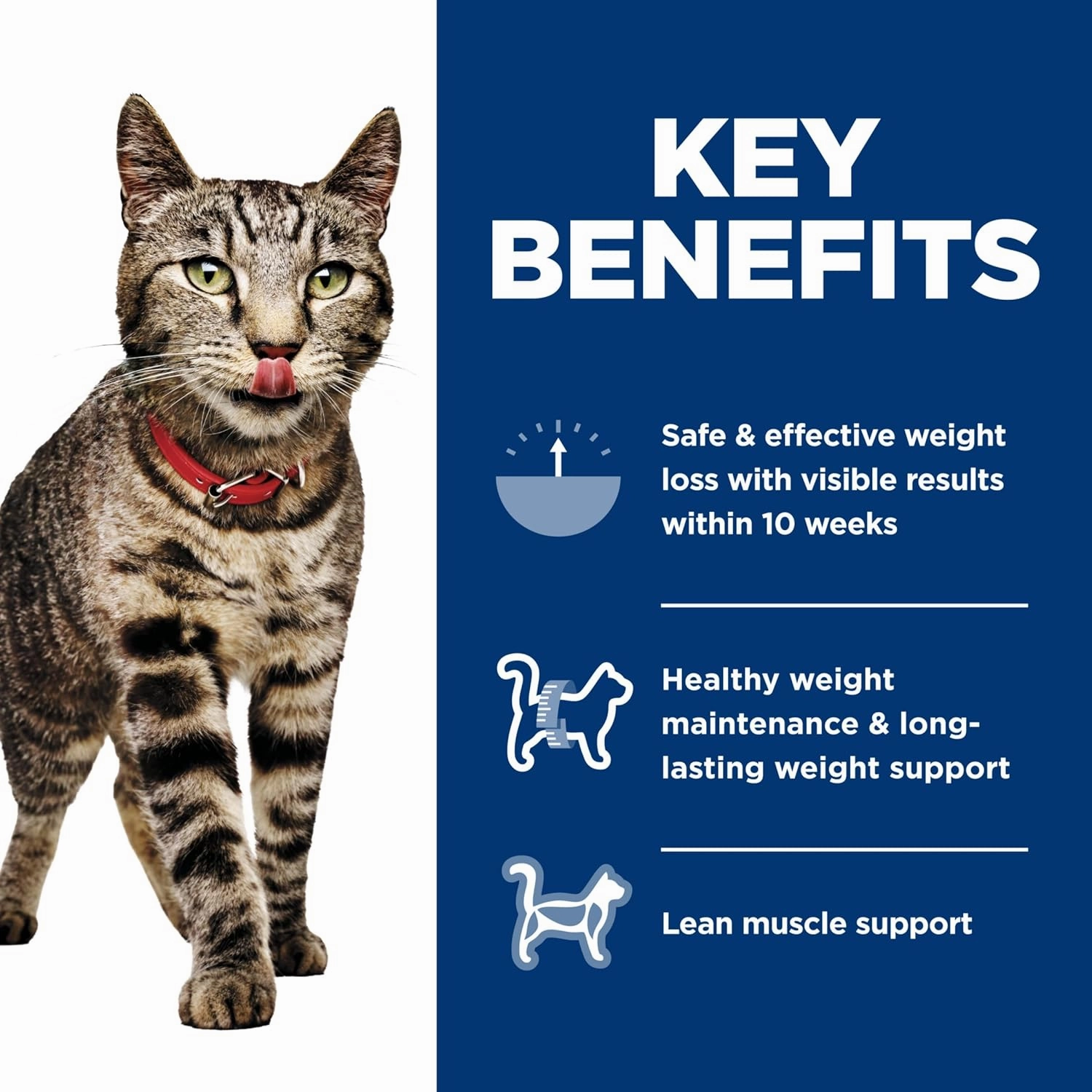 Hill's Science Diet - Feline Adult Perfect Weight Vegetable & Salmon Medley 2.9oz