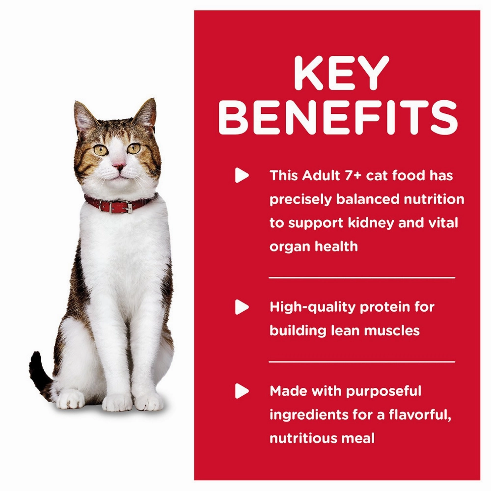 Hill's Science Diet Adult 7  Savory Beef Entree Canned Cat Food