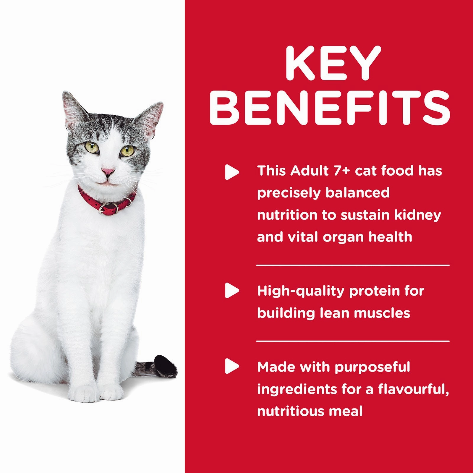 Hill's Science Diet Cat Food Adult 11  Senior