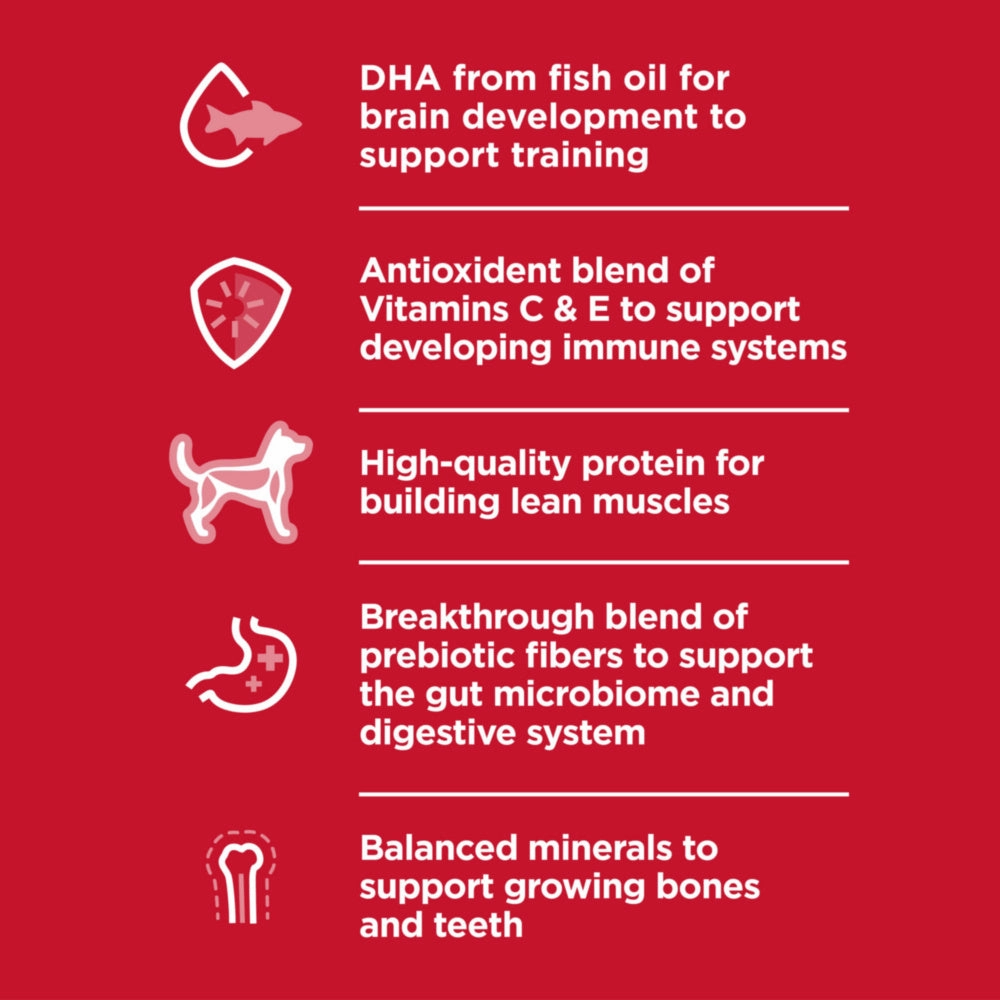 Hill's Science Diet Puppy Chicken Meal & Barley Dry Dog Food