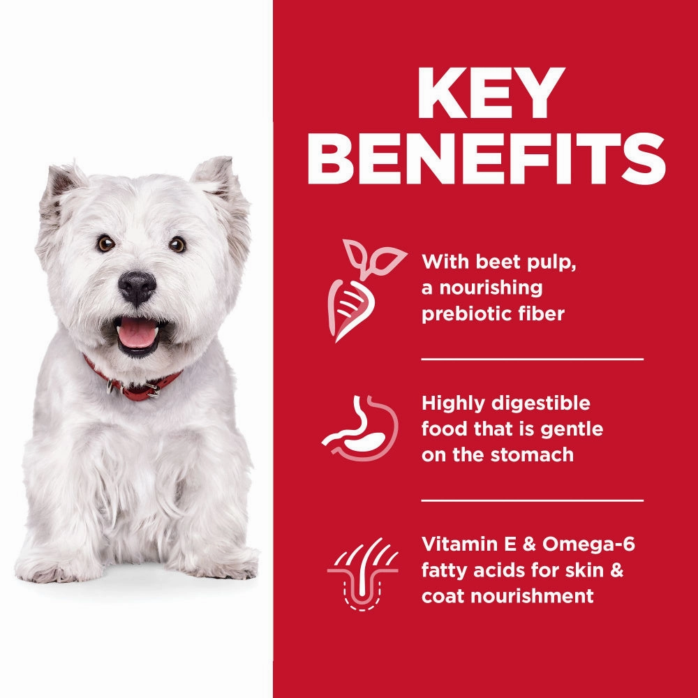 Hill's Science Diet Sensitive Stomach & Skin Small Bites Chicken Recipe Adult Dry Dog Food