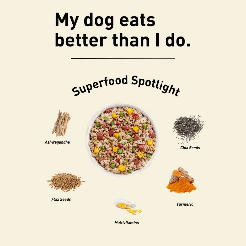 Homiee & Ginger Power Bowl Surf & Turf Fresh Food for Dogs