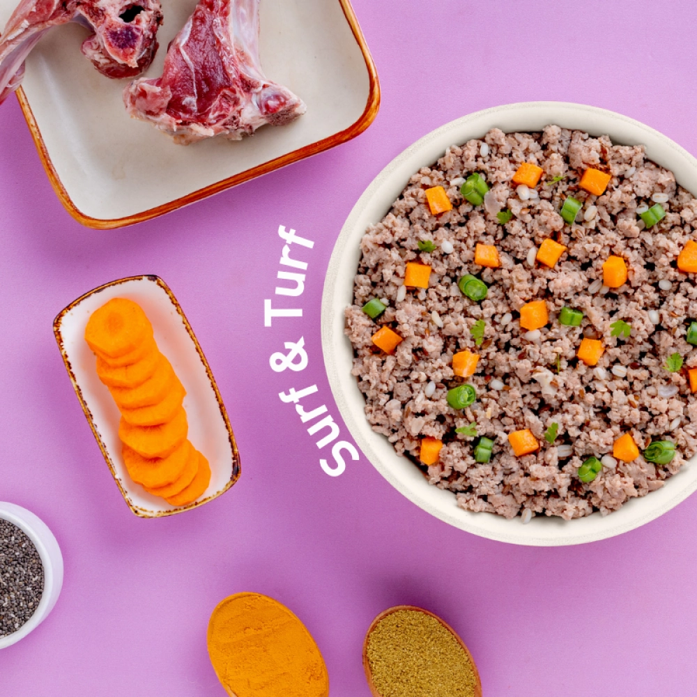 Homiee & Ginger Power Bowl Surf & Turf Fresh Food for Dogs