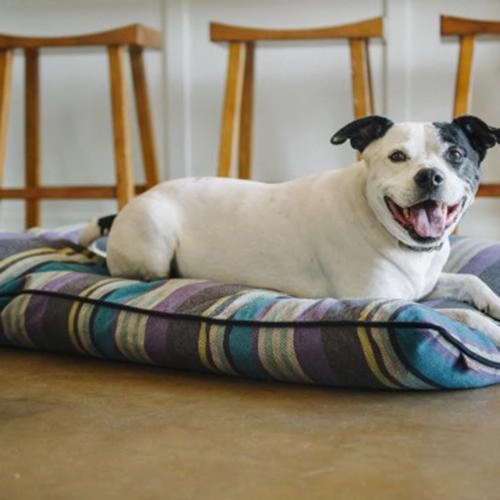 Horizon Pillow Dog Bed Lake