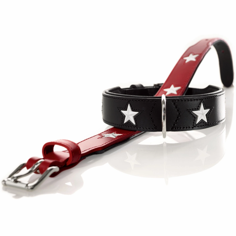 Hunter Magic Star Collar for Dogs (Red)