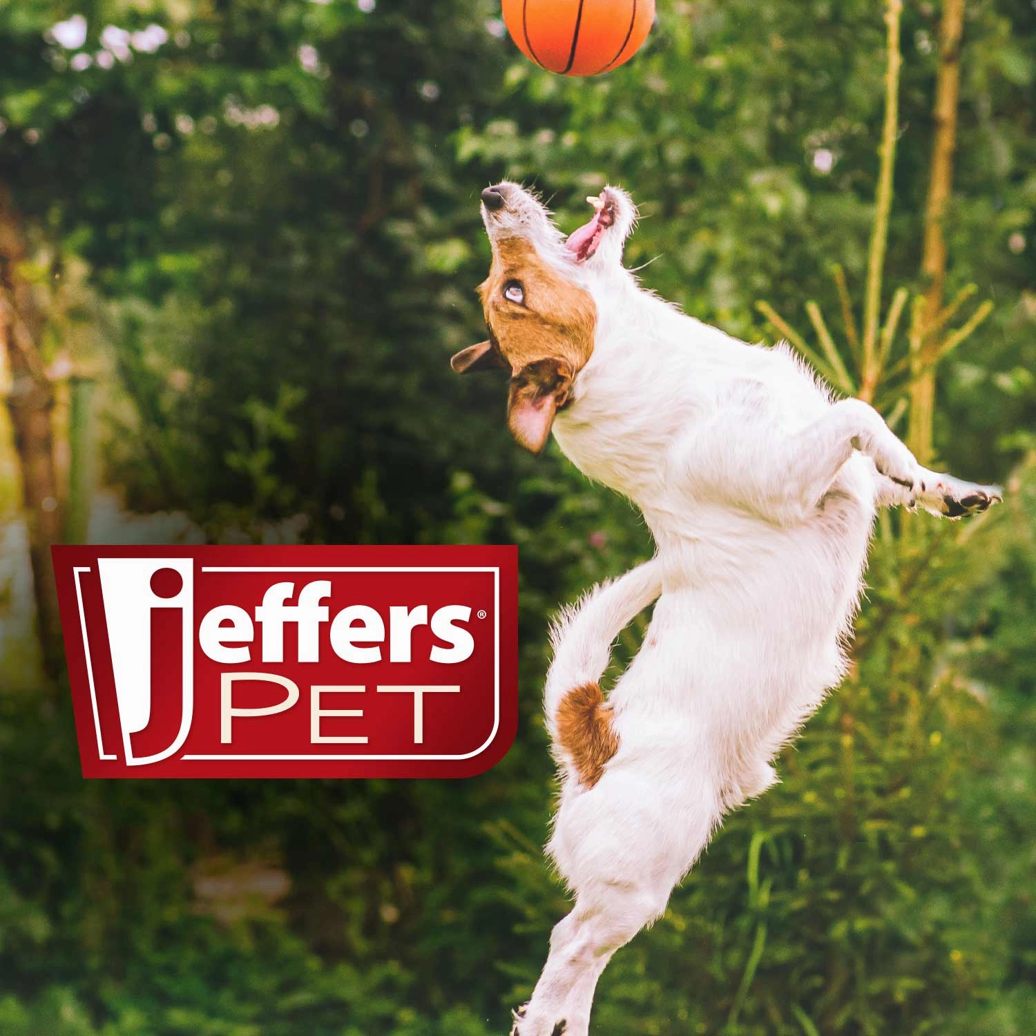 Jeffers Pennyroyal Natural Shampoo for Dogs and Cats