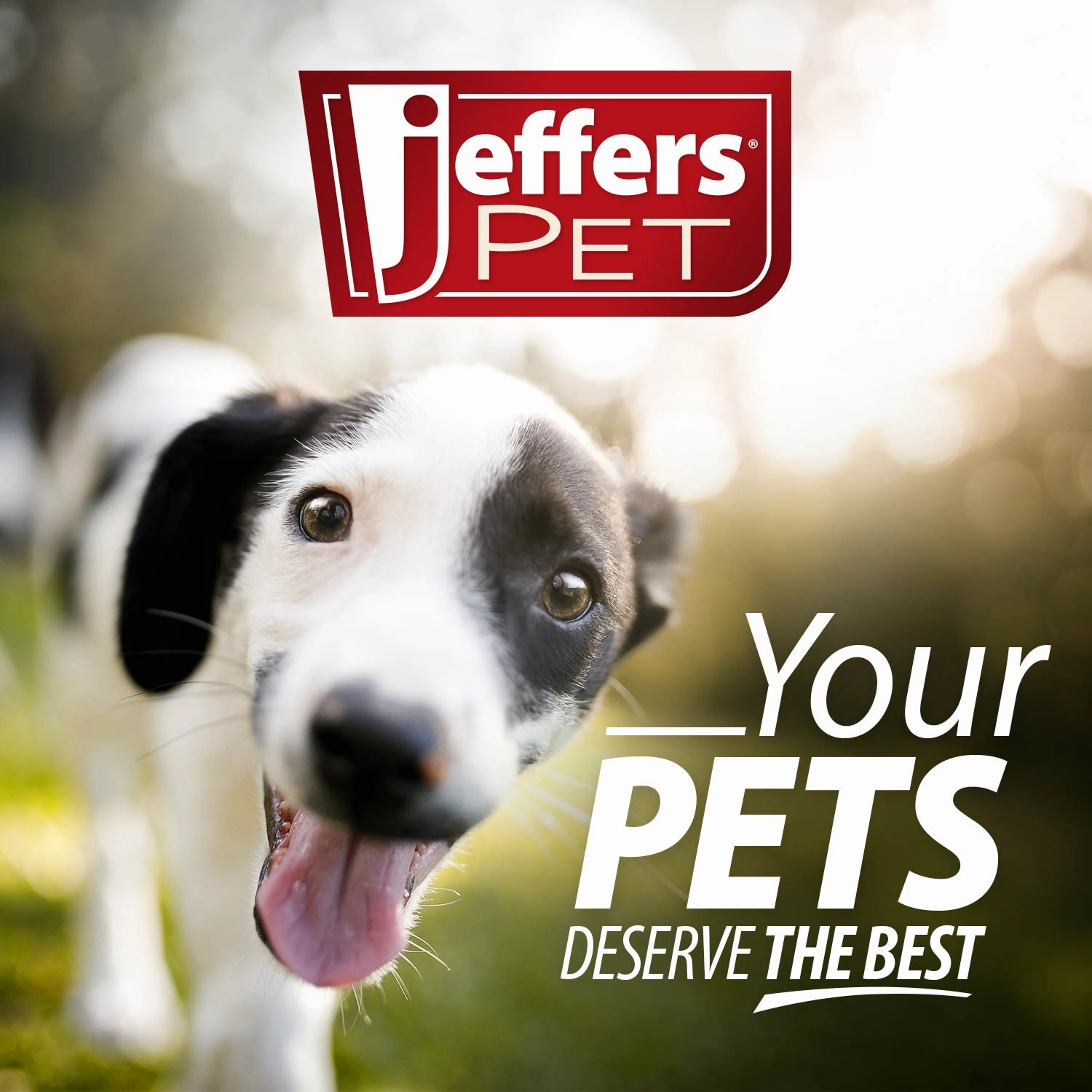Jeffers Pet Ear Flush Advanced Ear Cleanser with Ketoconazole for Dogs & Cats