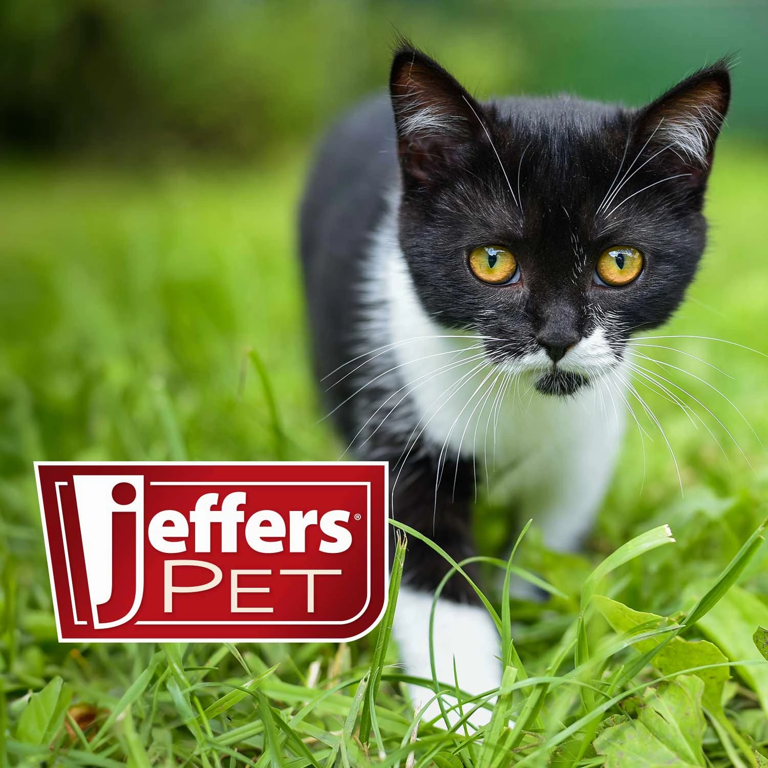 Jeffers Reflective Nylon Safety Collar with Bell for Cats