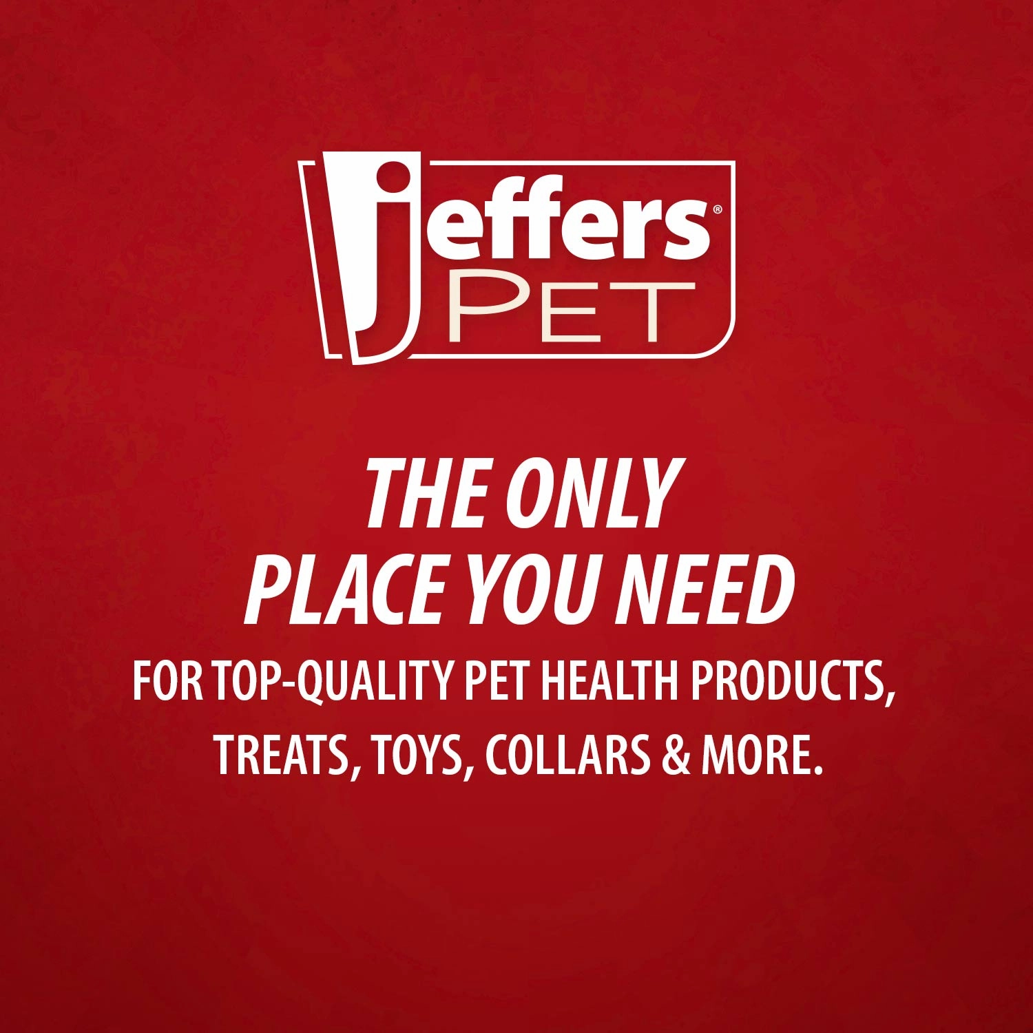 Jeffers Reflective Nylon Safety Collar with Bell for Cats