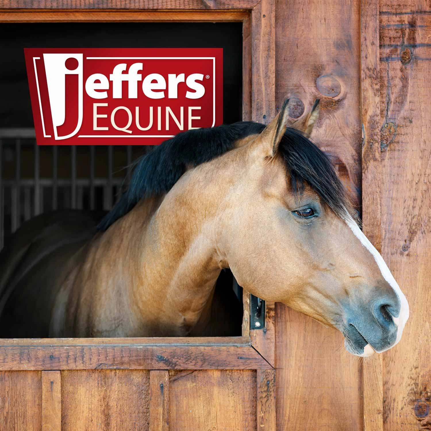 Jeffers Rubber Groomer  Shedding & Dirt Removal for Horses, Dogs & Cats