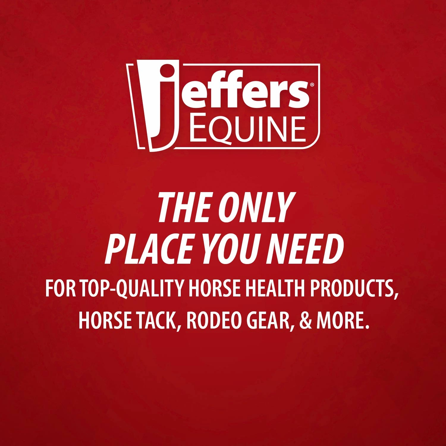 Jeffers Rubber Groomer  Shedding & Dirt Removal for Horses, Dogs & Cats