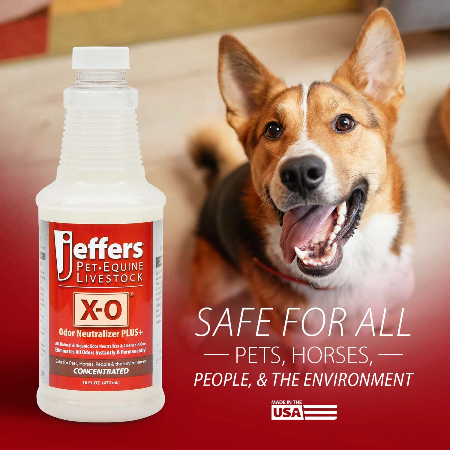 Jeffers X-O Pet Odor Neutralizer Plus   Cleaner Concentrate