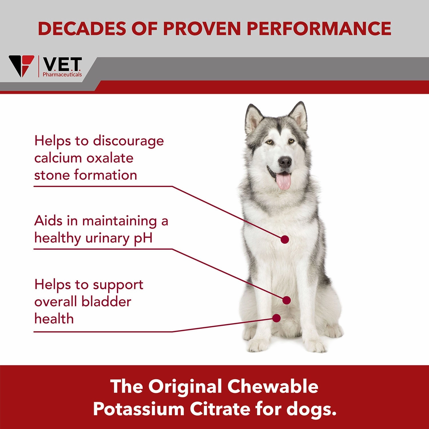 K-CIT-V Potassium Citrate, 100 Chewable Tablets