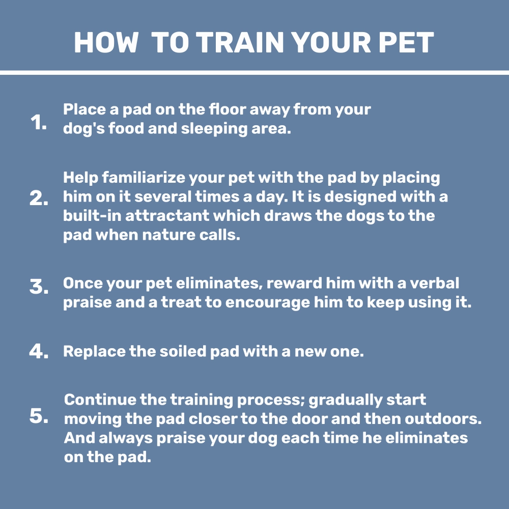 Kibbo Ultra Absorbent Leak Proof Training Pads for Dogs & Cats (45x60cm)