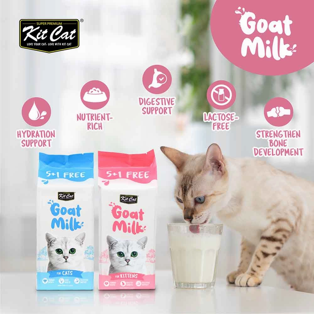Kit Cat Lactose-Free Goat Milk Pouches for Kitten (50ml x 6)