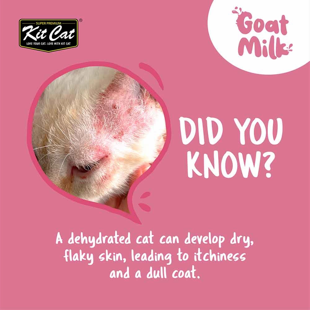 Kit Cat Lactose-Free Goat Milk Pouches for Kitten (50ml x 6)