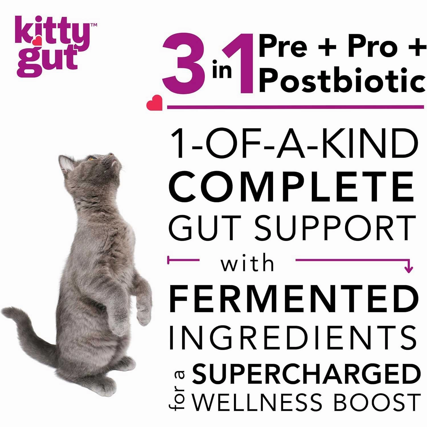 Kitty Gut 3-in-1 Pre   Pro   Postbiotic Supplement for Cats