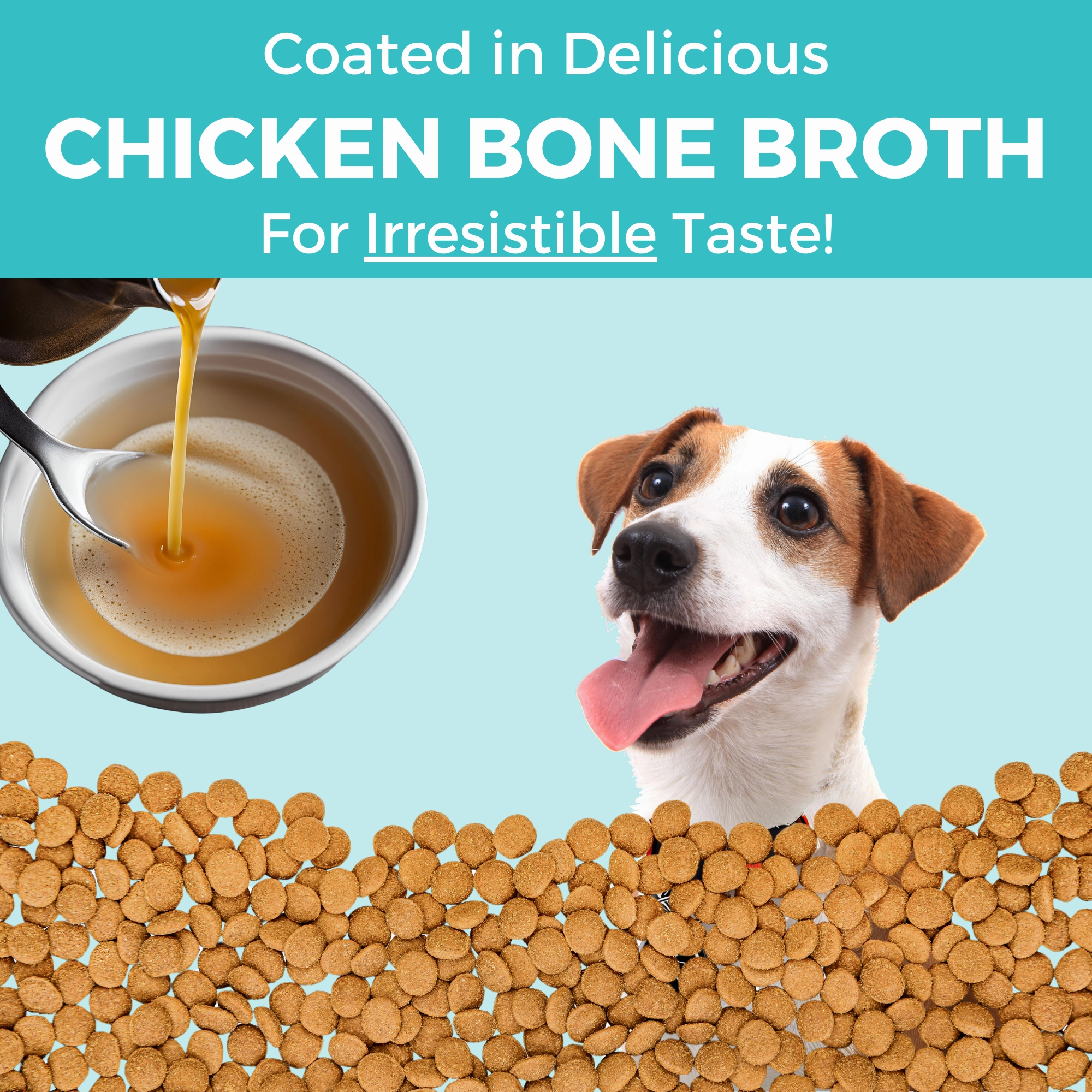 KOHA Limited Ingredient Bland Diet Chicken & Brown Rice Recipe with Pumpkin Dry Dog Food