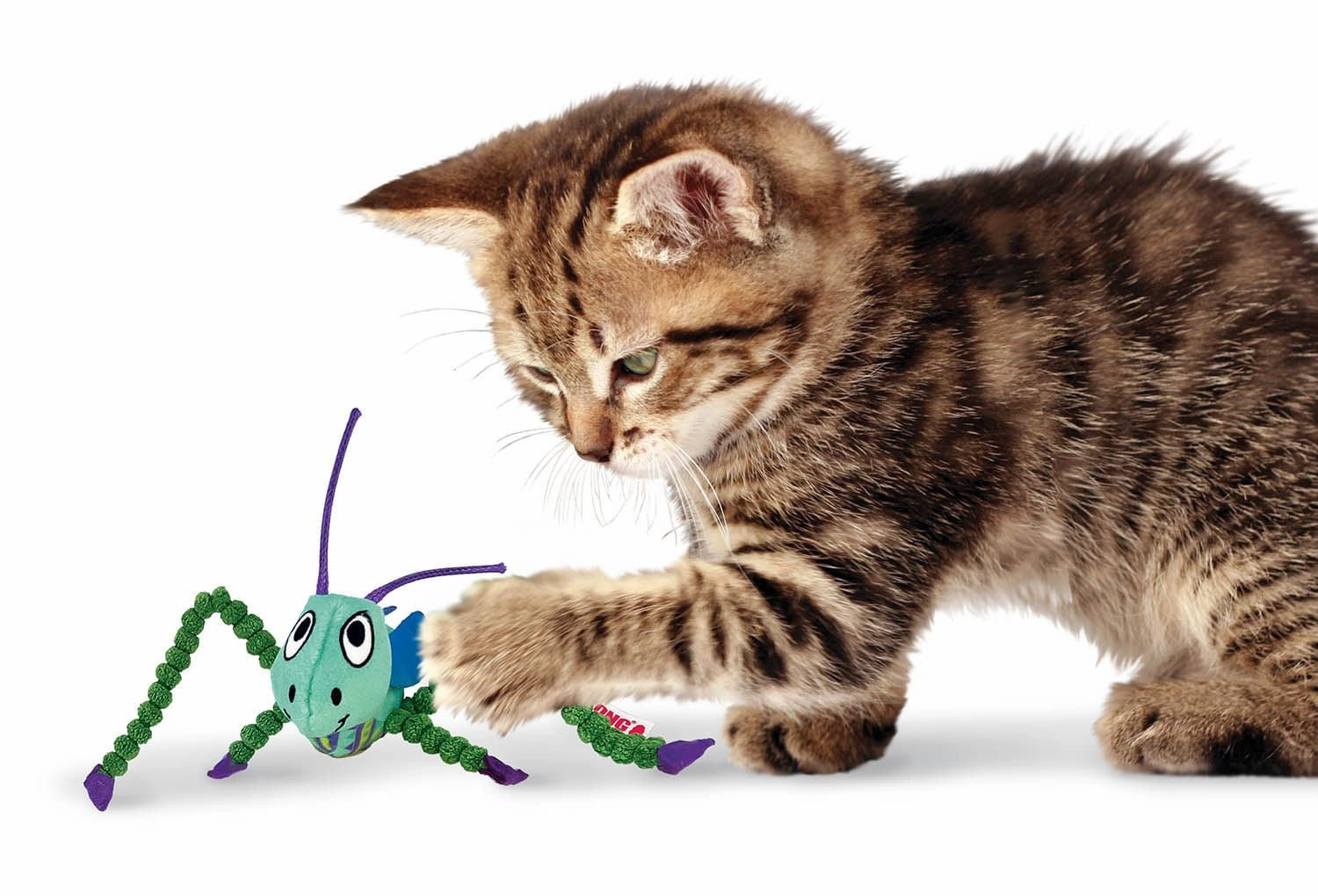 KONG Crackles Grasshopper Catnip Cat Toy