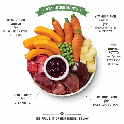 Lily's Kitchen - Wet Food For Dogs - Lamb Hotpot 400g
