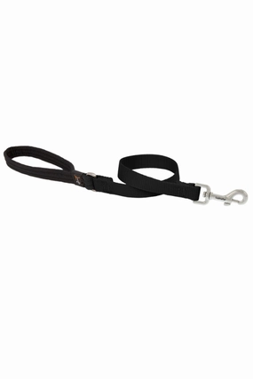 LupinePet Basic Solids Black 2ft Dog Leash