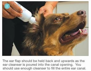 Mal-A-Ket Plus TrizEDTA Flush