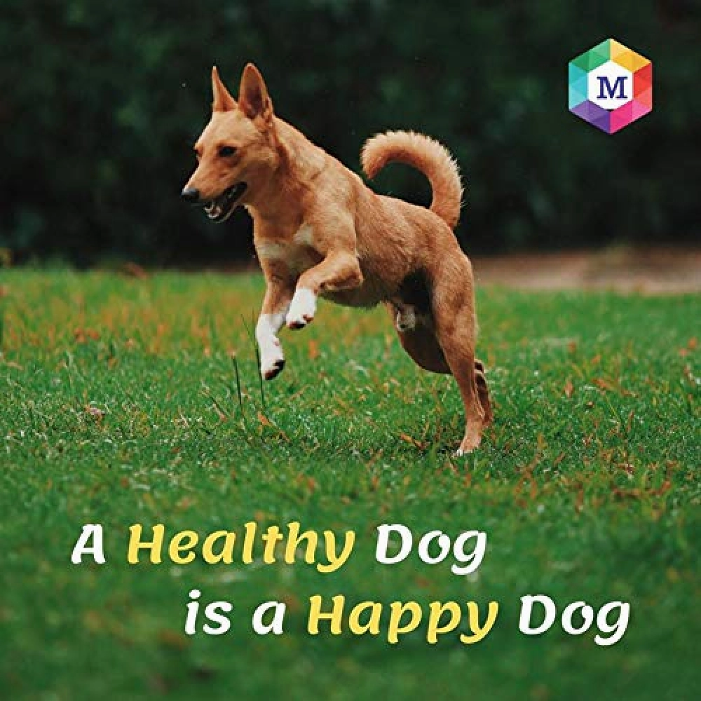 Medfly Healthcare Vitaboost for Dogs and Cats (Pack of 60 Tablets)
