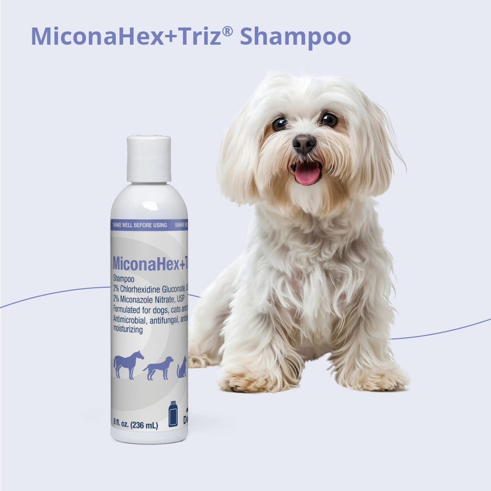 MiconaHex Triz Shampoo, 8 oz