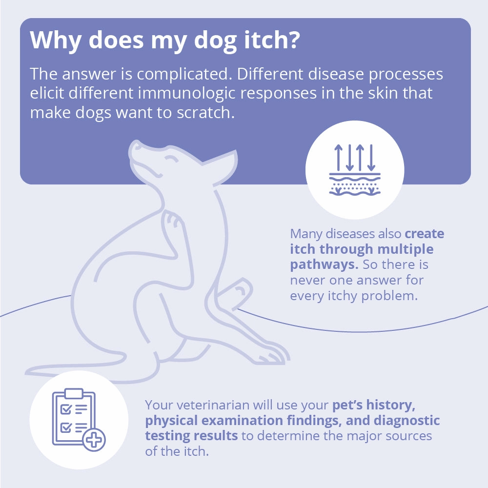 Miconahex  Triz Spray for Dogs, Cats, and Horses