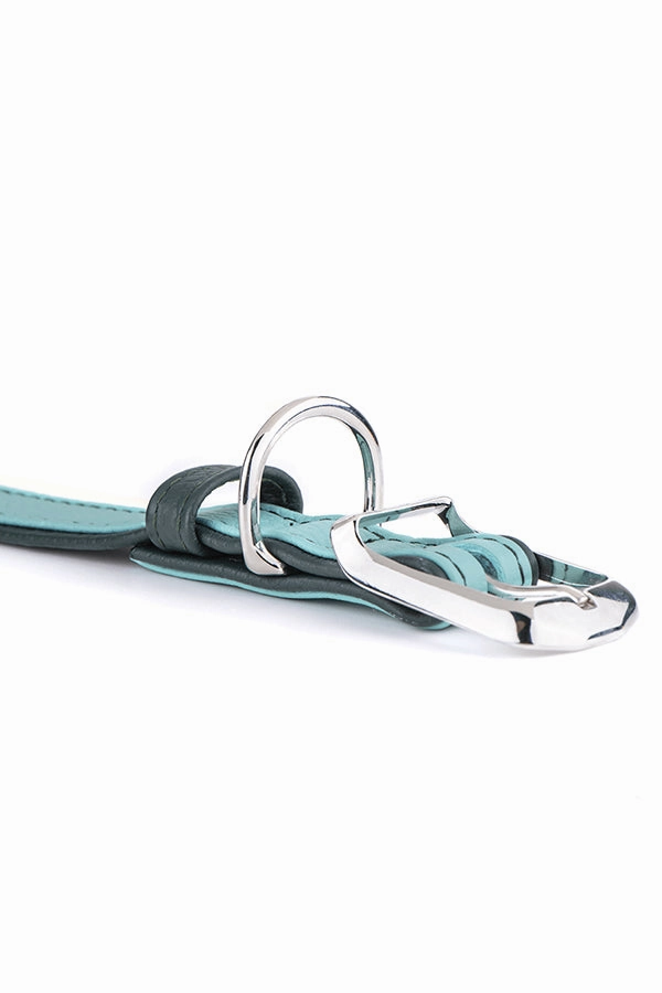 My Family Firenze Aqua Leather Dog Collar