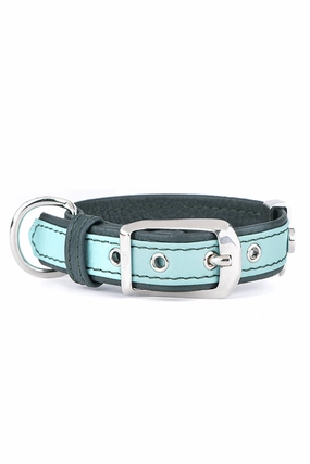 My Family Firenze Aqua Leather Dog Collar