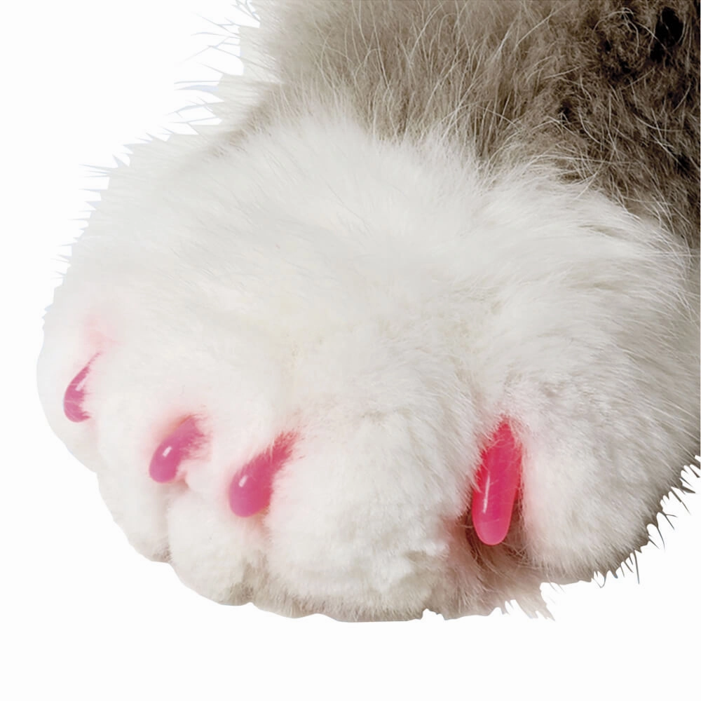 Nail Caps for Cats