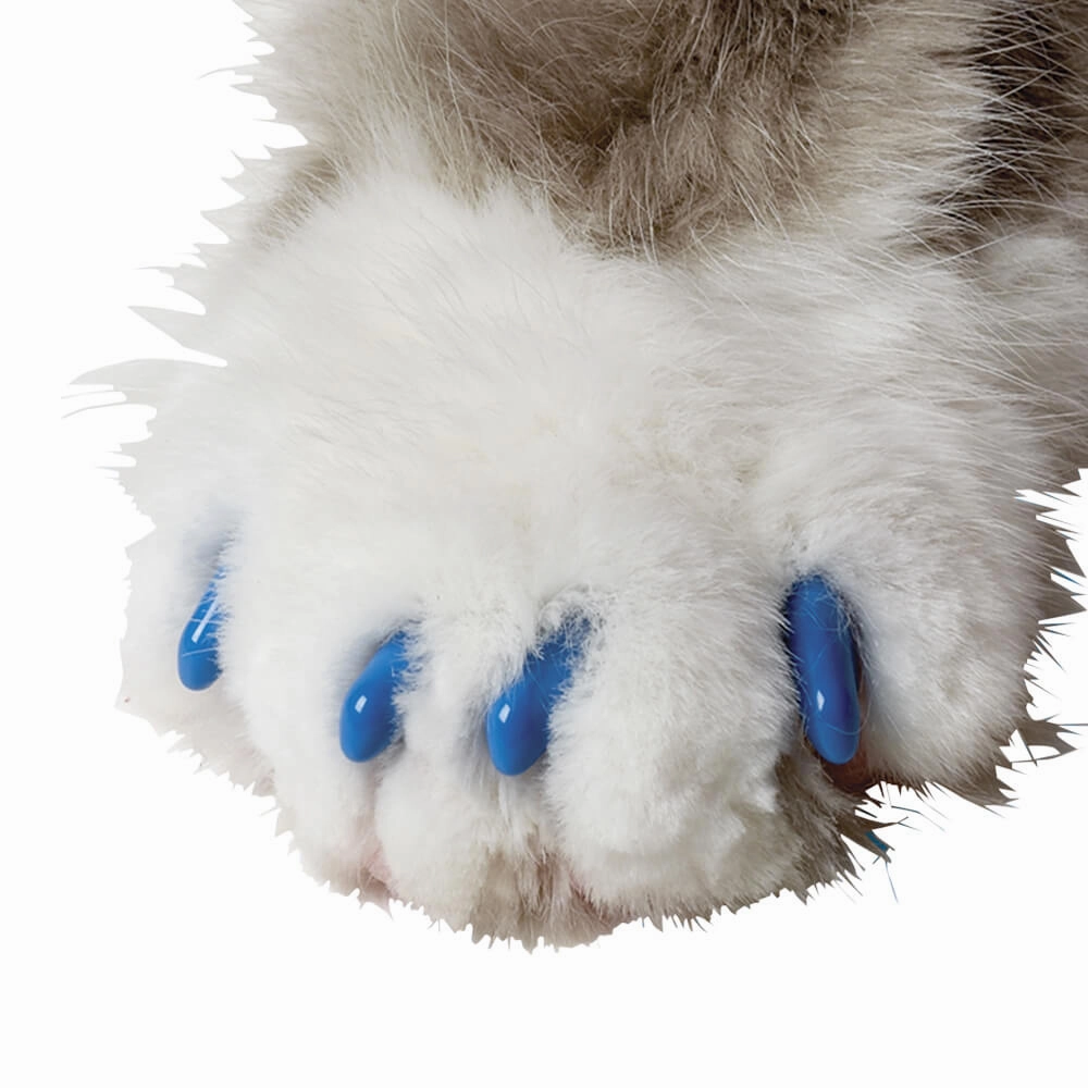 Nail Caps for Cats