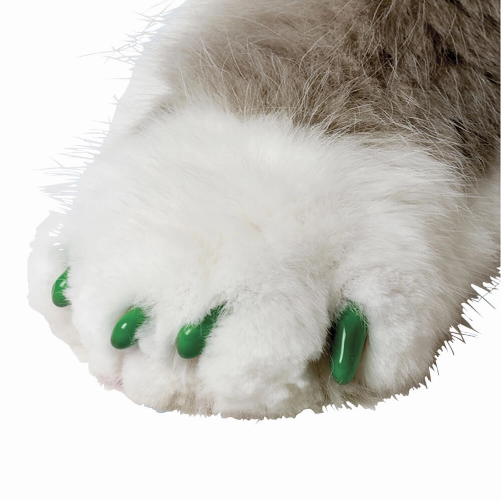 Nail Caps for Cats