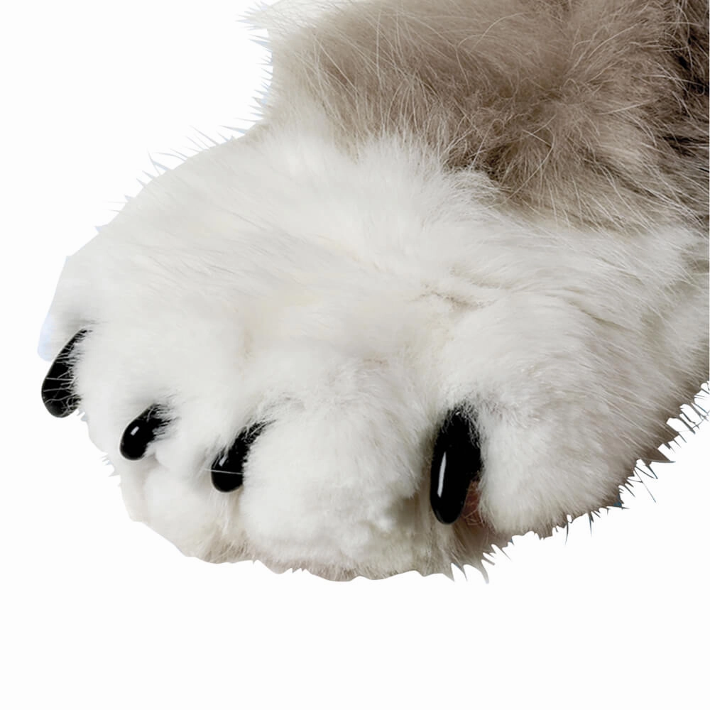 Nail Caps for Cats