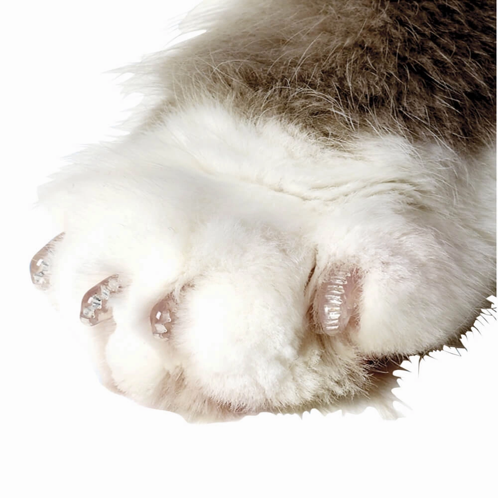 Nail Caps for Cats