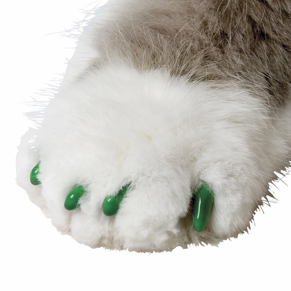 Nail Caps for Cats