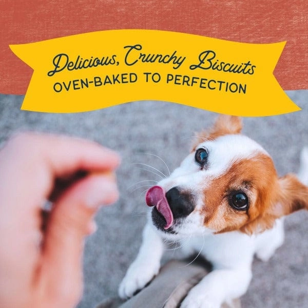 Natural Balance Crunchy Biscuits With Real Salmon Small Breed Recipe, 8oz