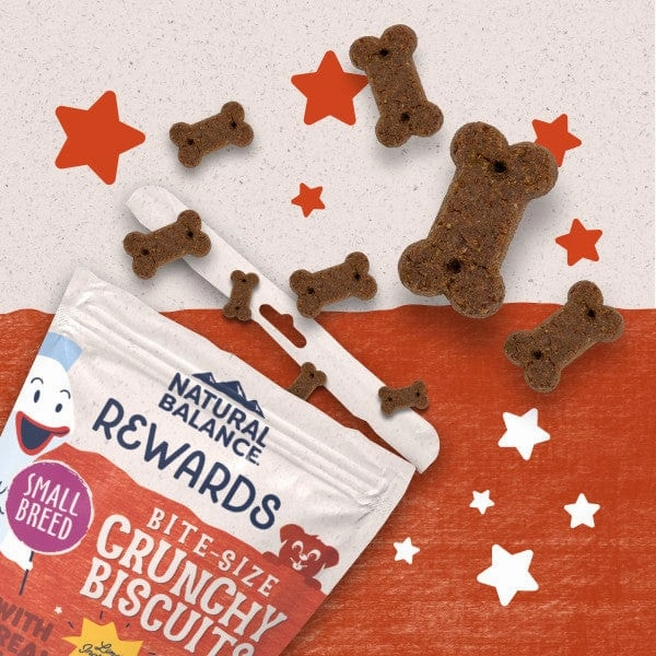 Natural Balance Crunchy Biscuits With Real Salmon Small Breed Recipe, 8oz