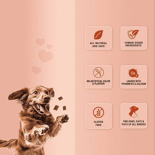 Natural Remedies Treat O'Clock Chicken and Egg Treats for Dogs