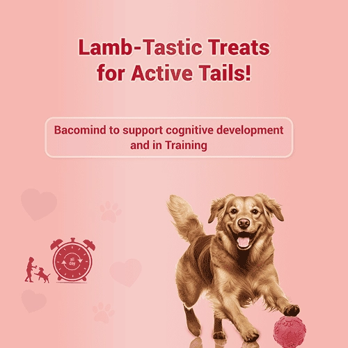 Natural Remedies Treat O'Clock Mutton Treats for Dogs