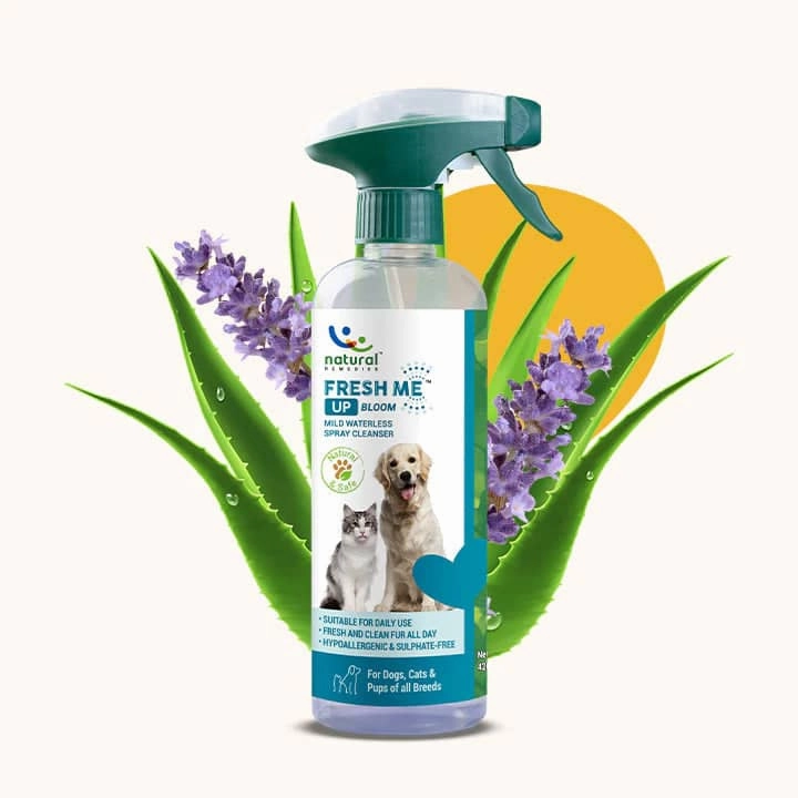 Natural Remedies Treat O'Clock Strawberry, Fresh Me Up Shampoo & Orthoron Joint Support Tablets Dog Combo