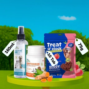 Natural Remedies Treat O'Clock Strawberry, Fresh Me Up Shampoo & Orthoron Joint Support Tablets Dog Combo